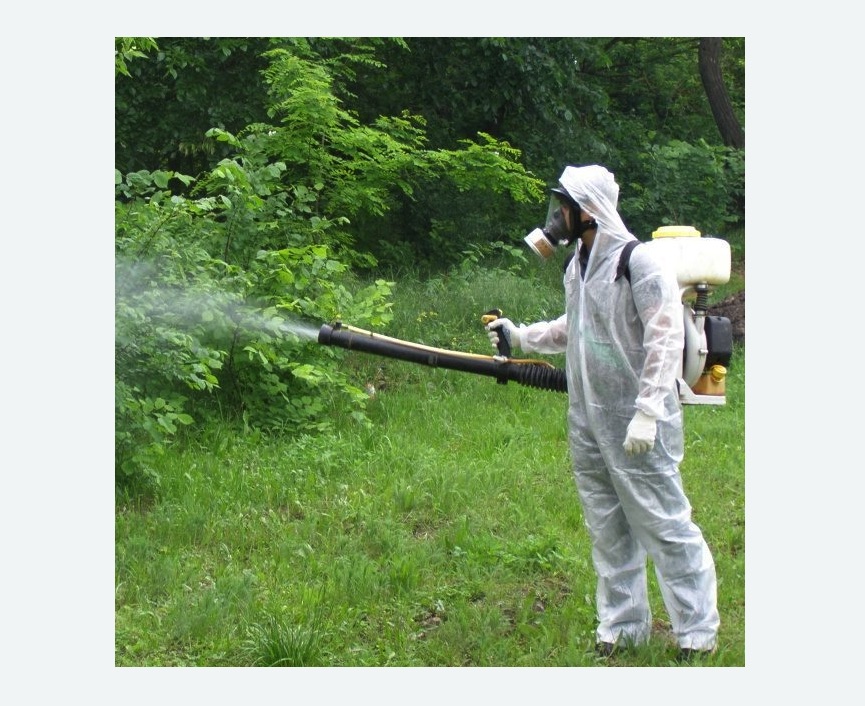 обработка территории от клещей в Кызыле