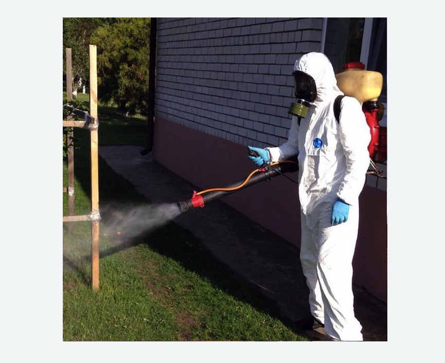 травля клещей на участке в Кызыле