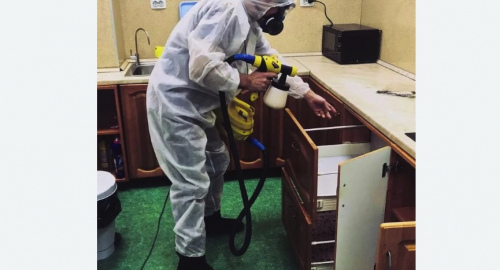 Уничтожение насекомых в квартире. Кызыл