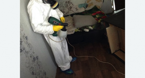 Обработка квартир от насекомых в Кызыле