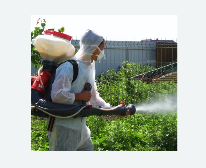 Акарицидная обработка территории в Кызыле