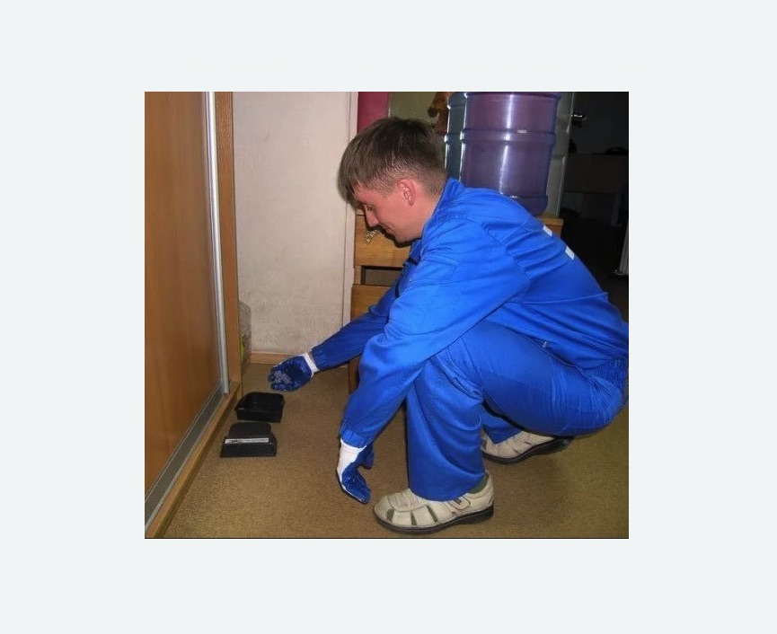 Дератизация крыс в Кызыле