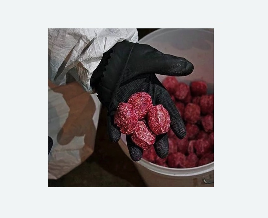 Обработка от крыс в Кызыле