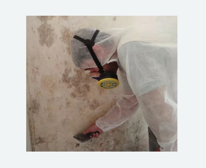 Обработка стен от плесени в Кызыле