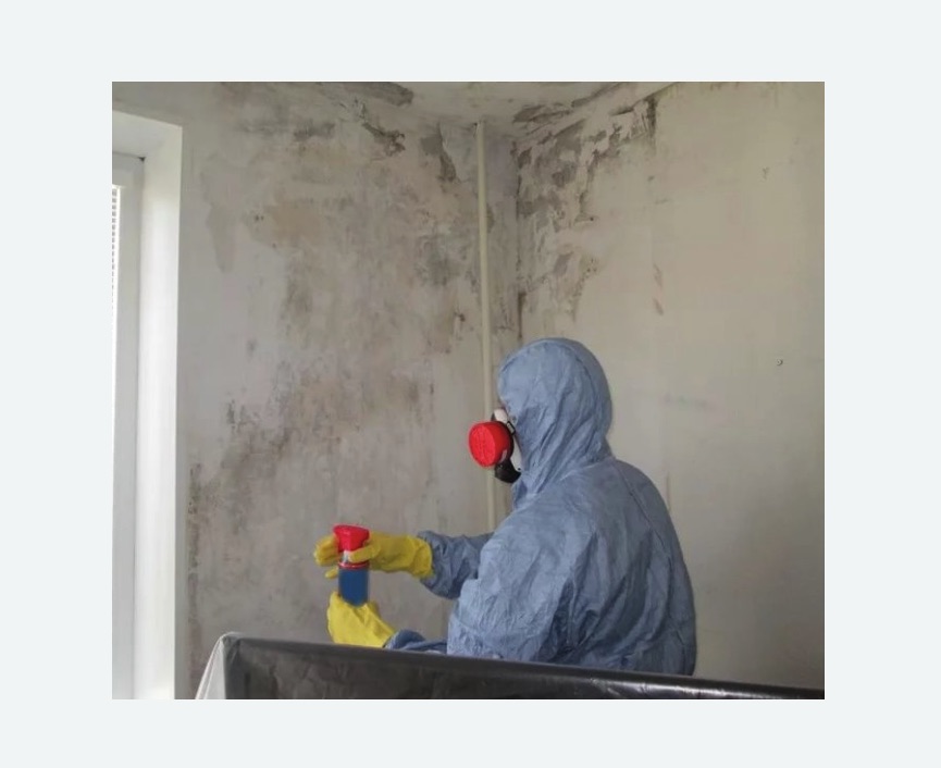 Удаление плесени в квартире в Кызыле