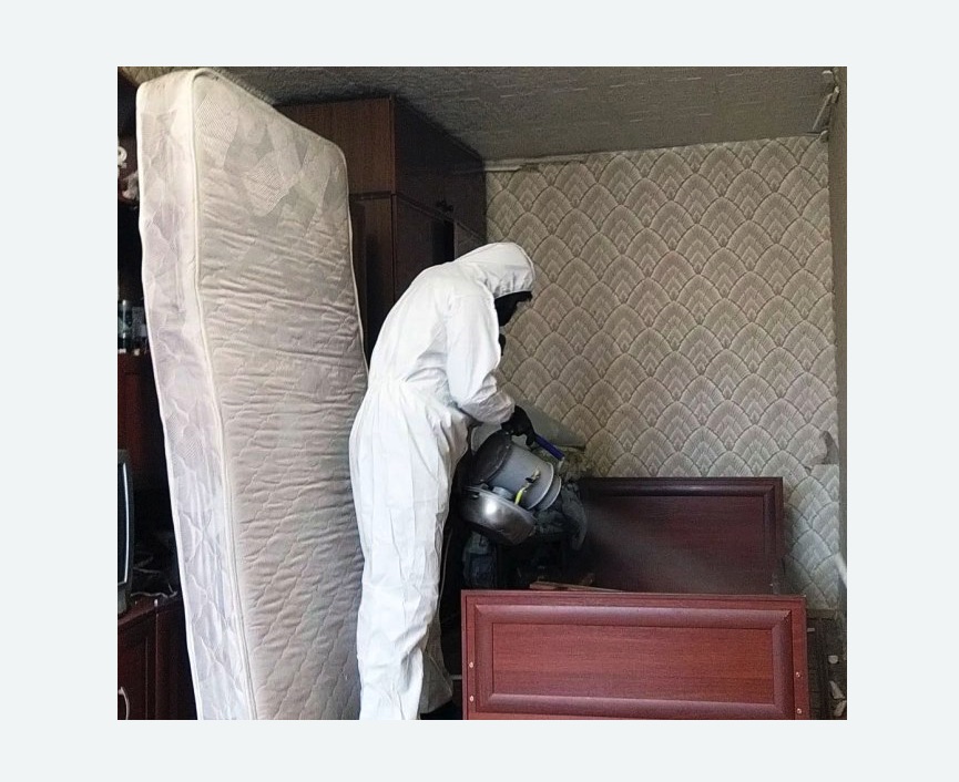 дезинфекция от клопов в Кызыле