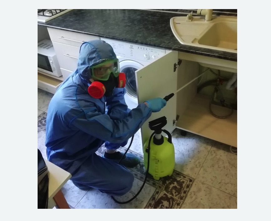 обработка от муравьев в квартире в Кызыле