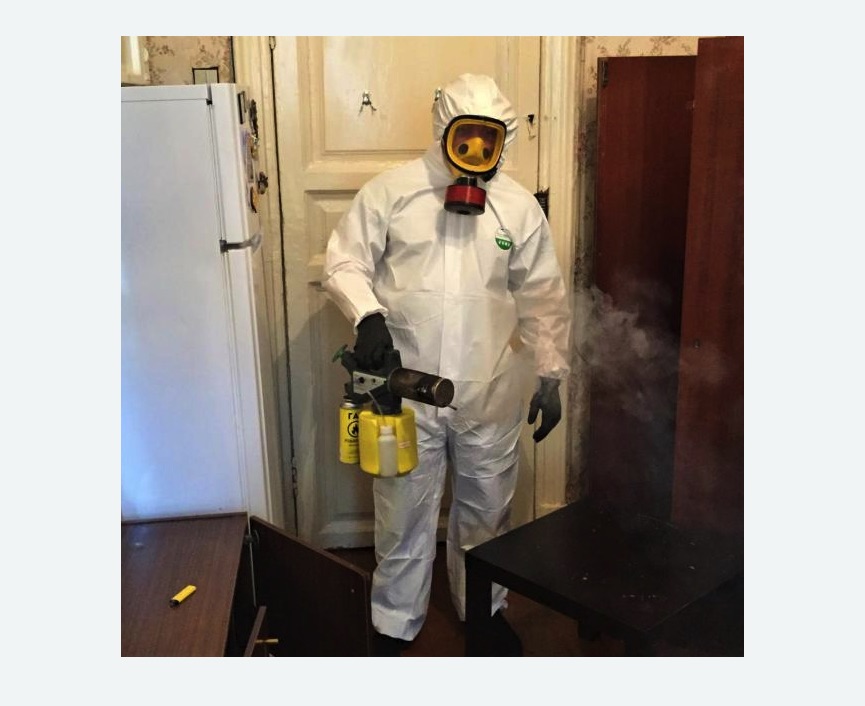 уничтожение муравьев в квартире в Кызыле